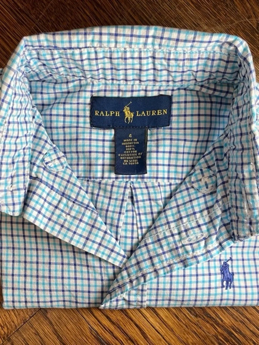 Polo by Ralph Lauren Green and Blue Check Button-Down Shirt